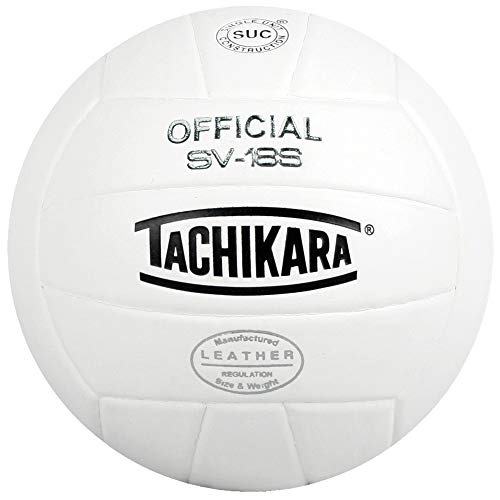 10 Best Indoor Volleyball Brand