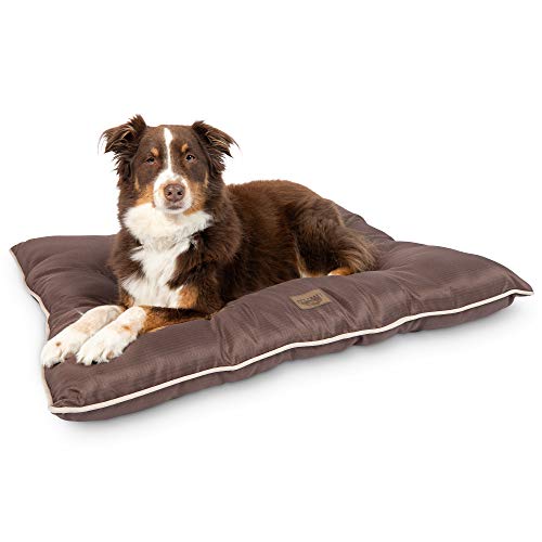 Pet Craft Supply Super Snoozer Calming Indoor / Outdoor All Season Water Resistant Durable Dog Bed, Large, Chocolate