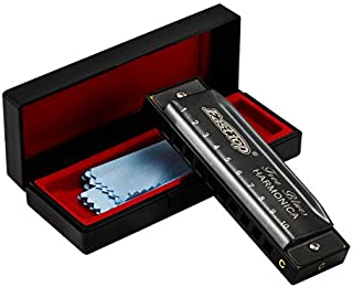 East top 10 Holes 20 Tones Blues Diatonic Harmonica Key of C For Adults, Beginners, Professional Players and StudentsSilver grey