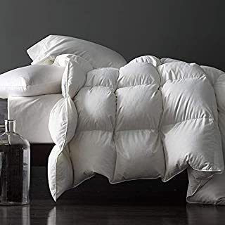 Premium Silver Down Comforter Queen Full Size All Season Solid White 100% Egyptian Cotton Cover Down Proof Duvet Insert with Corner Tabs, 50 Oz