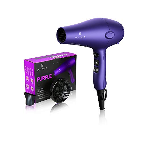 Professional Tourmaline Ionic Hair Dryer 1875W Lightweight DC Motor Low Noise Hair Blow Dryer 2 Speeds and 3 Heat Settings with Diffuser & Concentrator