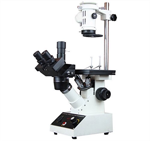 Radical Tricocular Inverted Tissue Culture Medical Live Cell Clinical Microscope with Camera Port