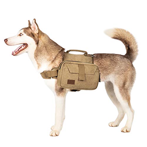 10 Best Dog Backpack Harness