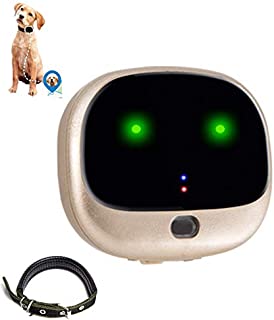 GPS Pet Tracker for Dogs 4G Pet Tracking No Monthly Fee Free App Waterproof Collar Real Time Tracking WiFi Remote Voice Smart Mini Anti Lost Tracker USB Charging Step Counting Signal Light,Gold