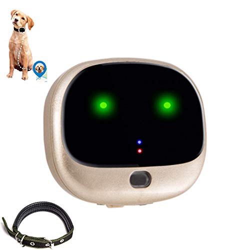 GPS Pet Tracker for Dogs 4G Pet Tracking No Monthly Fee Free App Waterproof Collar Real Time Tracking WiFi Remote Voice Smart Mini Anti Lost Tracker USB Charging Step Counting Signal Light,Gold