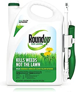 Roundup For Lawns1 Ready to Use - All-in-One Weed Killer for Lawns, Kills Weeds - Not the Lawn, One Solution for Crabgrass, Dandelions, Clover and Nutsedge, For Use on Northern Grasses, 1.33 gal.Round