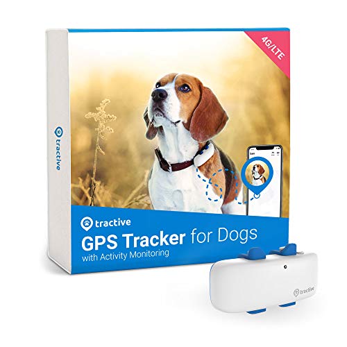 Tractive LTE GPS Dog Tracker - Location & Activity Tracker for Dogs with Unlimited Range (Newest Model), White (TRNJAWH)