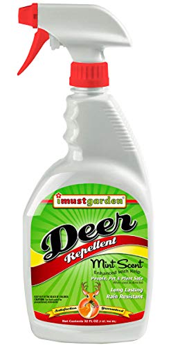 I Must Garden Deer Repellent: Mint Scent Deer Spray for Gardens & Plants  Natural Ingredients  32oz Ready to Use