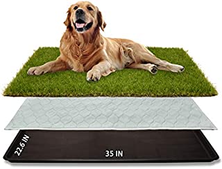 Dog Grass Large Potty Patch (35