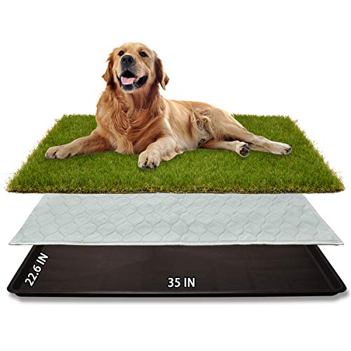 Dog Grass Large Potty Patch (35