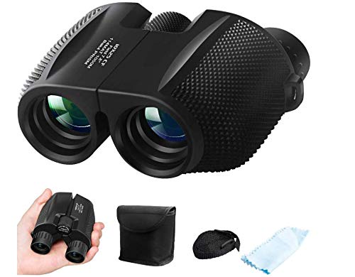 Binoculars for Adults Kids, ZIPOUTE 10x25 Folding Compact Binoculars with Weak Light Night Vision Clear for Birds Watching Hunting Traveling Concerts Outdoor Sports with Strap Carrying Bag