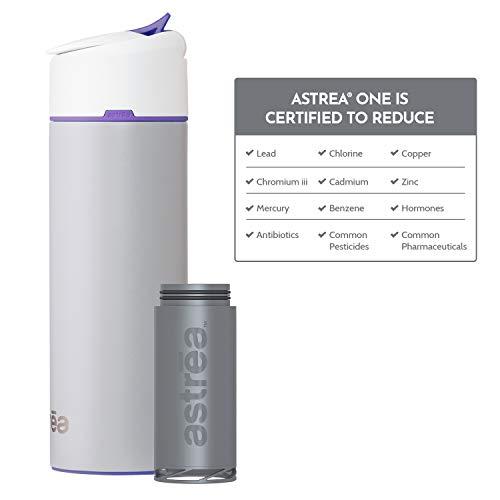 astrea ONE Premium Stainless Steel Filtering Water Bottle, 20 Oz, Meets NSF/ANSI Standards 42, 53, and 401, Independently Certified, (New & Improved) (Gray/Purple)