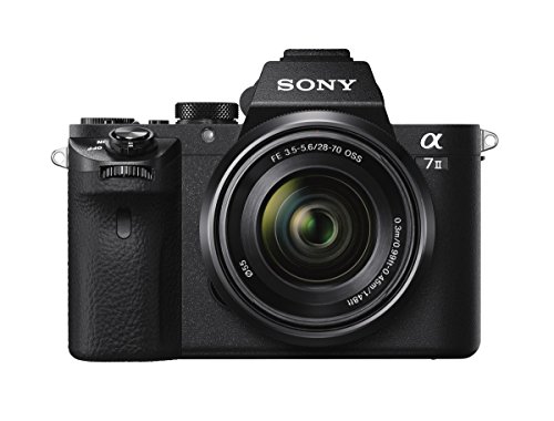 10 Best Mirrorless Cameras Full Frame