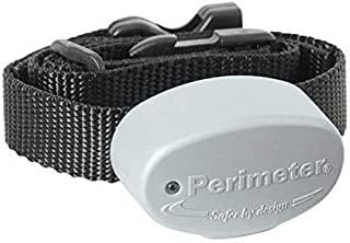 Perimeter Technologies Invisible Fence R21 Replacement Collar 7K - 1 Dog and Free Backup Collar Strap