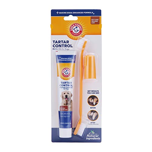 Arm & Hammer for Pets Dog Dental Care Fresh Breath Kit for Dogs