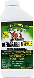 Nature's Mace Deer & Rabbit Repellent 40oz Concentrate/Covers 28,000 Sq. Ft. / Repel Deer from Your Home & Garden. Safe to use Around Children, Plants & Produce. Protect Your Garden Instantly