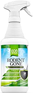 Eco Defense Mice Repellent - Natural Peppermint Oil Formula to Repel Mice, Rats, and Other Rodents - Humane Mouse Trap Alternative (16 oz)