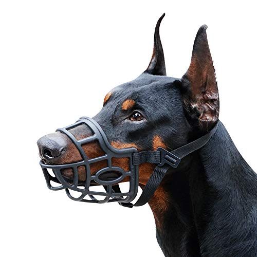 Dog Muzzle, Breathable Basket Muzzles for Small, Medium, Large and X-Large Dogs, Stop Biting, Barking and Chewing (M - Border Collie, Black)