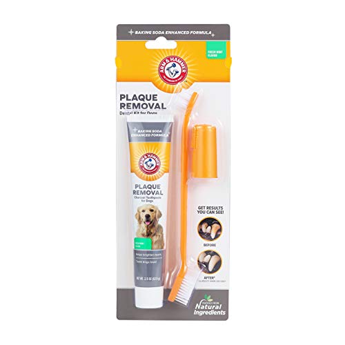 Arm & Hammer for Pets Dog Dental Care Fresh Breath Kit for Dogs, Mint, FF15740