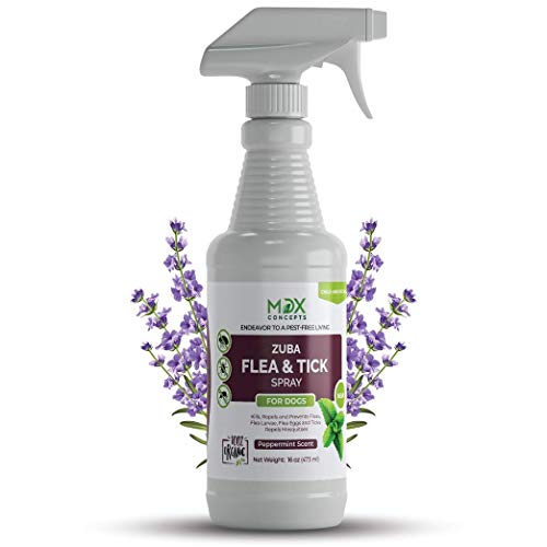 mdxconcepts Organic Flea and Tick Control Spray for Dogs - Made in USA - Peppermint Oil Flea Treatment for Dogs Flea Repellent 100% Natural Essential Oils  Flea Killer - Safe to Use 16 oz