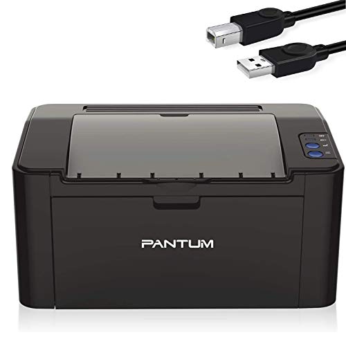 Pantum Mini Monochrome Laser Printer for Home Office School Student Mobile Wireless Printing- Small Laserjet P2502(D1m0n)