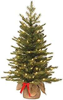 National Tree Company Pre-lit Artificial Mini Christmas Tree | Includes Small White LED Lights and Cloth Bag Base | Nordic Spruce Burlap - 3 ft