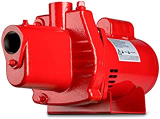 Red Lion RJS-100-PREM 602208 Premium Cast Iron Shallow Jet Pump for Wells up to 25 ft, 9.1 x 17.8 x 9.1 inches