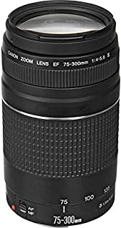 Canon EF 75-300mm f/4-5.6 III Telephoto Zoom Lens for Canon SLR Cameras