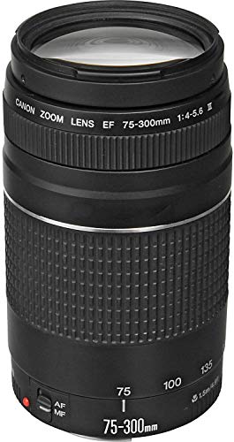 Canon EF 75-300mm f/4-5.6 III Telephoto Zoom Lens for Canon SLR Cameras