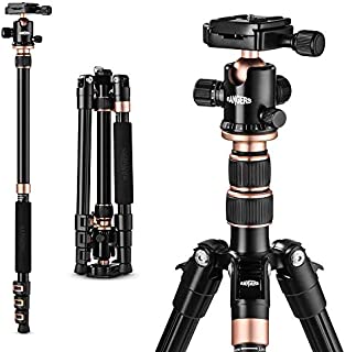 TYCKA Rangers 56 Compact Travel Tripod, Lightweight Aluminum Camera Tripod for DSLR Camera with 360° Panorama Ball Head and Carry Bag