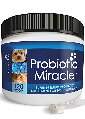 NUSENTIA Probiotics for Cats & Dogs - (120 Scoops) Probiotic Miracle - Advanced Formula to Stop Diarrhea, Loose Stool, and Yeast.