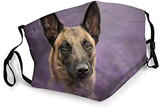 Face Masks for Adults Dust Belgian Shepherd Malinois Dog Muzzle Look Lavender Washable Reusable Face Bandanas Indoor and Outdoor Activities