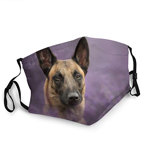 Face Masks for Adults Dust Belgian Shepherd Malinois Dog Muzzle Look Lavender Washable Reusable Face Bandanas Indoor and Outdoor Activities