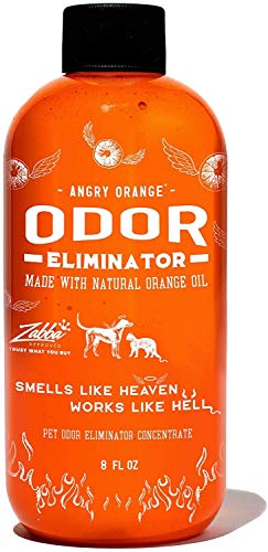 Angry Orange Pet Odor Eliminator for Dog and Cat Urine, Makes 1 Gallon of Solution for Carpet, Furniture and Floor Stains