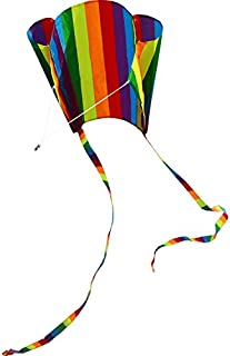 Hengda Kite For Kids 31-Inch Rainbow Parafoil Kite