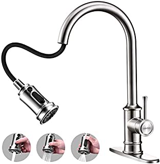 Kitchen Sink Faucet - WaterSong Kitchen Faucet with Pull Down Sprayer, Brushed Nickel Kitchen Faucet Single Handle, Stainless Steel 1Hole RV Farmhouse Kitchen Sink Faucet with Deck Plate, 100% No-Lead