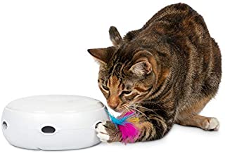 PetFusion Ambush Interactive Electronic Cat Toy with Rotating Feather. (Smart Modes, Nighttime Light, Auto Shut-Off, Batteries Included). Replacement Feathers Available. 12 Month Warranty