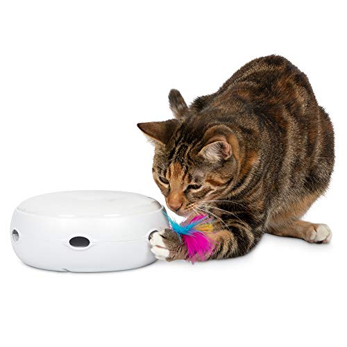 PetFusion Ambush Interactive Electronic Cat Toy with Rotating Feather. (Smart Modes, Nighttime Light, Auto Shut-Off, Batteries Included). Replacement Feathers Available. 12 Month Warranty