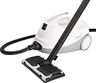 Multipurpose Steam Cleaner Mop, Convenient Detachable Handheld Unit, Chemical-Free Cleaning for Tile/Wood Floors, Carpet, Furniture, Appliances, Windows, Autos, and More, 110V, White & Gray Apexcool