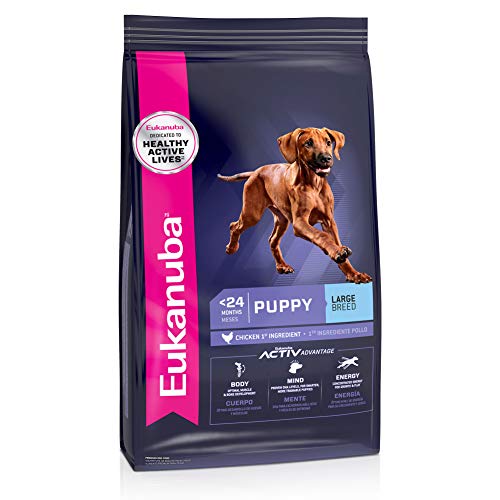 Eukanuba Puppy Large Breed Dry Dog Food, 33 pounds. Bag