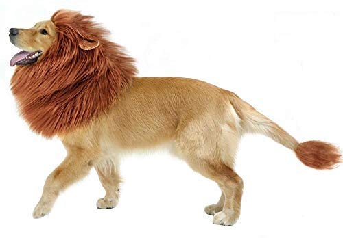 GABOSS Lion Mane Costume for Dog, Dog Lion Wig for Dog Large Pet Festival Party Fancy Hair Dog Clothes (a-Dark Brown with Ear Tail)