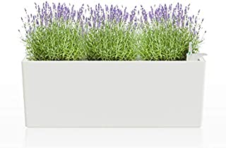 Self Watering Pot - 20 inch White Rectangular Window Box Planter for All House Plants Flowers and Herbs - Modern and Decorative Garden Pot with Reservoir for Indoor Use