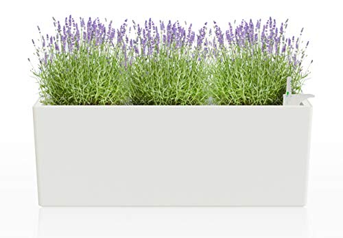 Self Watering Pot - 20 inch White Rectangular Window Box Planter for All House Plants Flowers and Herbs - Modern and Decorative Garden Pot with Reservoir for Indoor Use