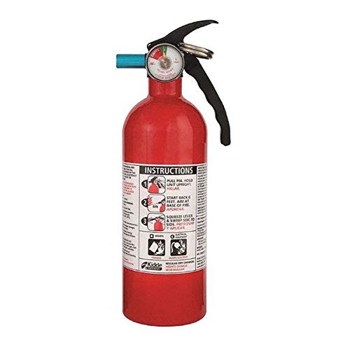 Fire Extinguisher, 5B:C, Dry Chemical, 2 lb, 11