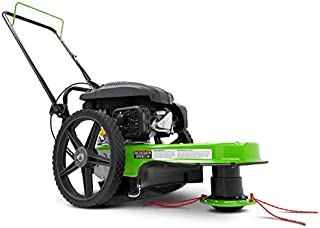 TAZZ One-Piece Steel Deck, 22 Cutting Swath, Never Kill, Fold Down Handlebars 35258 Walk-Behind String Mower/Trimmer, 150cc 4-Cycle Gas Engine, Large 14