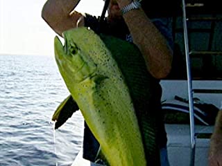 Ridge Fishing Action with Team Extreme- Baja, Mexico