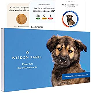 Wisdom Panel Essential, New and Improved Dog DNA Test for Ancestry, Traits and Medical Complications