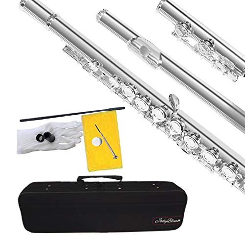 Closed Hole C Flute Nickel Silver Plated Student Beginners Flute with Case, Tuning Rod and Screwdriver Cleaning Cloth,Joint Grease and Gloves