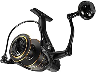 Dr.Fish Saltwater Fishing Reel Sea Fishing Spinning Reel 25Lb Carbon Fiber Drag 9+1 BB Stainless Steel BB Powerful Aluminum Handle Ceramic Line Roller 6000,5.1:1