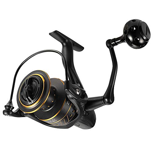 Dr.Fish Saltwater Fishing Reel Sea Fishing Spinning Reel 25Lb Carbon Fiber Drag 9+1 BB Stainless Steel BB Powerful Aluminum Handle Ceramic Line Roller 6000,5.1:1